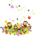 Pretty Monkeys -Flower garden of the hibiscus-