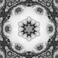 Pretty monochrome mandala, floral fractal kaleidoscope