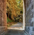 Pretty narrow roadway passing through a viaduct into a colorful forest area in Germany.