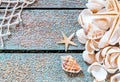 Pretty nautical card design with seashells Royalty Free Stock Photo