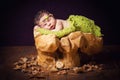 A cute newborn baby in a wreath of cones and berries sleeps on a stub.