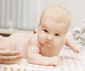 Pretty newborn lying on her tummy and looking at the camera