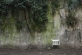 Pretty old white bench against an old wall full of marks and vegetation Royalty Free Stock Photo