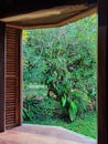 an outward view of a cabin in the Costa Rican Caribbean