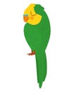 pretty parrot design