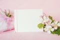Pretty Pastel Pink Banner with Blank card and fresh spring apple blossoms with wrapped gift for Mothers Day, birthday or girl Baby