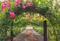 Pretty Path Through a Rose Arbor Tunnel with Pink Roses Royalty Free Stock Photo