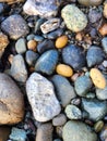 Pretty pebbles on a beach Royalty Free Stock Photo