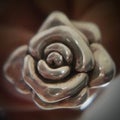 pretty pewter rose