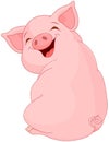 Pretty Pig Royalty Free Stock Photo