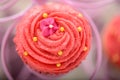 Pretty pink Bollywood cupcake