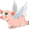 Pretty pink flying pig with wings isolated on white background Royalty Free Stock Photo