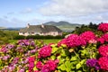 Pretty pink house with flowered garden in the green Irish countryside