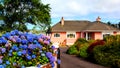 Pretty pink house with flowered garden in the green Irish countryside