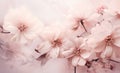 Pretty in Pink: A Stunning Display of Femininity in Nature