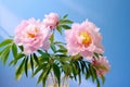 Pretty in Pink: A Stunning Vase of Peonies and Lush Green Leaves