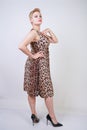 Pretty plus size young woman with short blonde hair wearing middle length  summer dress with animal leopard print. cute curvy woma Royalty Free Stock Photo