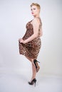 Pretty plus size young woman with short blonde hair wearing middle length  summer dress with animal leopard print. cute curvy woma Royalty Free Stock Photo