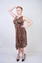 Pretty plus size young woman with short blonde hair wearing middle length  summer dress with animal leopard print. cute curvy woma Royalty Free Stock Photo