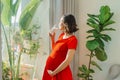 Pretty pregnant woman drinking milk when standing near the window Royalty Free Stock Photo
