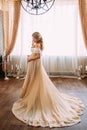 Pretty pregnant woman in long dress