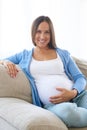 Pretty pregnant woman on sofa