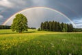 Pretty rainbow in a field with trees Royalty Free Stock Photo