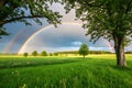 Pretty rainbow in a field with trees Royalty Free Stock Photo