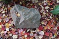 a pretty rock surrounded by maple leaves