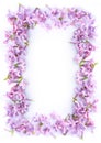 Pretty romantic lilac frame