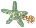 Shimmering Sea Green Starfish Pearl Rhinestone Charm Royalty Free Stock Photo