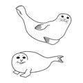 Pretty Seals isolated on white. Vector Set of marine mammal.