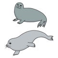 Pretty Seals isolated on white. Vector Set of marine mammal. Royalty Free Stock Photo