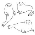 Pretty Seals isolated on white. Vector Set of marine mammal. Royalty Free Stock Photo