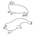 Pretty Seals isolated on white. Vector Set of marine mammal. Royalty Free Stock Photo