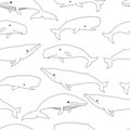 Pretty Seals seamless pattern. Vector marine background. Royalty Free Stock Photo