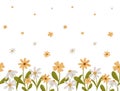Pretty seamless border with simple daisy flowers. Coupon with Chamomile in scandinavian style. Stylized tiny flowers