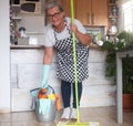 Pretty senior woman ready to start with the housework. Close to she a plastic bucket with items for cleaning. One alone people