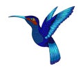 Small hummingbird. Exotic tropical colibri animal icon. Sapphire blue feathers