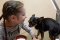 Pretty smiling girl. Her chihuahua dog poses near. Girl and chihuahua at the table Royalty Free Stock Photo