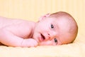 Pretty smiling newborn baby Royalty Free Stock Photo