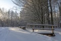 Pretty snow covered bridge over a stream in winter