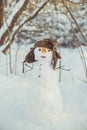 Pretty snowman in hat with ear flaps in the forest Royalty Free Stock Photo