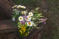 Pretty summer multi-colored bouquet with chamomile