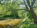 A Pretty Summer Scene in Stratford, Ontario Royalty Free Stock Photo