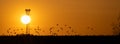 Sunset panorama of a murder of crows in flight next to a communication tower