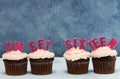 Pretty Sweet Sixteen chocolate cupcakes