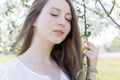 Pretty sweet tender young girl with a bright smile with long blond hair among the blossoming apple trees Royalty Free Stock Photo