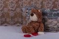 Pretty teddy bear is sitting with candy and waiting his beloved.
