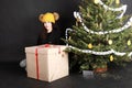 Pretty teen girl behind gift by Christmas tree